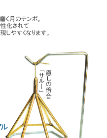 �������ܲ��֥��롼�� 