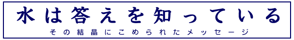 水は答えを知っている