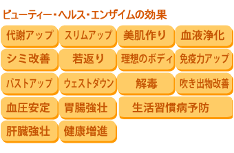 �ӥ塼�ƥ������إ륹�����󥶥��� 