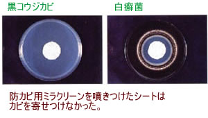 �ɥ����ѥߥ饯�꡼��