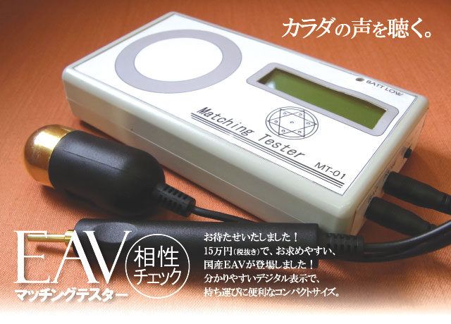 EAV�}�b�`���O�e�X�^�[