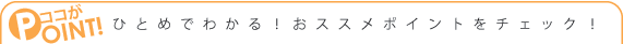 �Х�������塼����󥢥����ʲ��ѿ�ˤΤ������ݥ���ȡ�