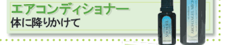 �����饽������ŷ�ȥ��꡼���֥��������󥸥��������å��󥹡� 