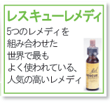 �Хå��ե����쥹���塼���ǥ� 
