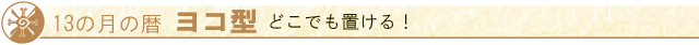 13�η���� �襳��