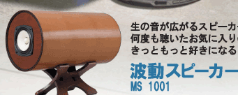 ��ư���ԡ�����MS 1001