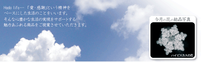 ��ư�饤��-Hadolife WebShopping