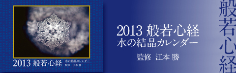 2013�ʎ�S�o�J�����_�[