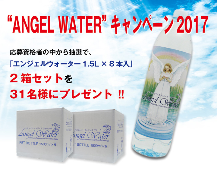 キャンペーン2017