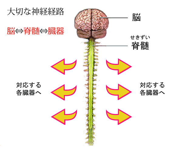 神の手
