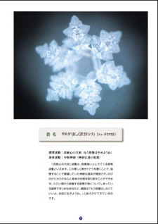 聴くクスリシリーズNo.1「音と水との対話(本+クラシックCD2枚組)」