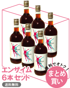 エンザイム6本セット（プレゼント付き）