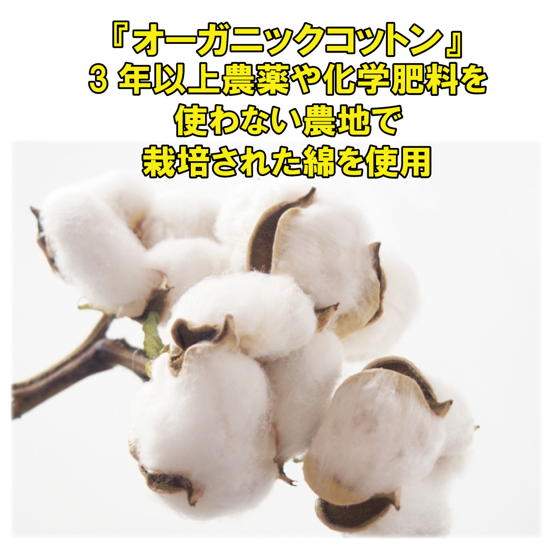 オーガニックコットン