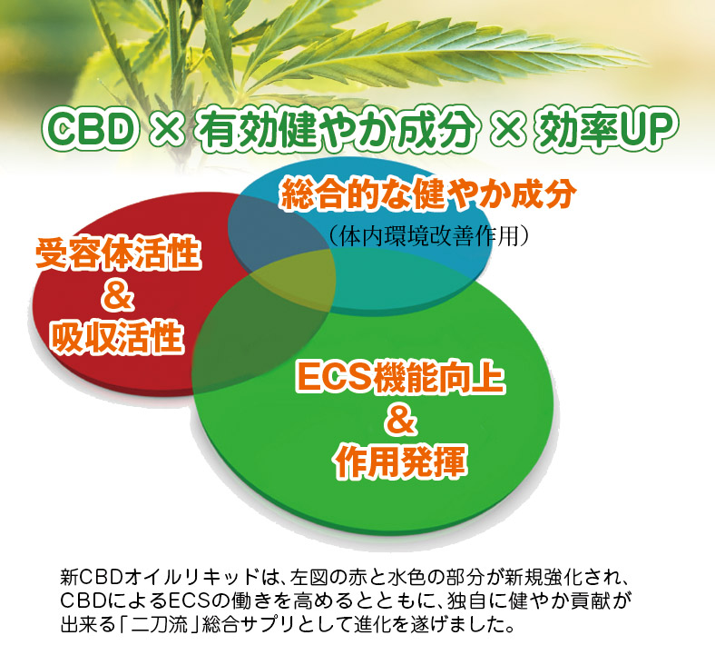 CBDオイル「麻耶」バージョン3新コンセプト