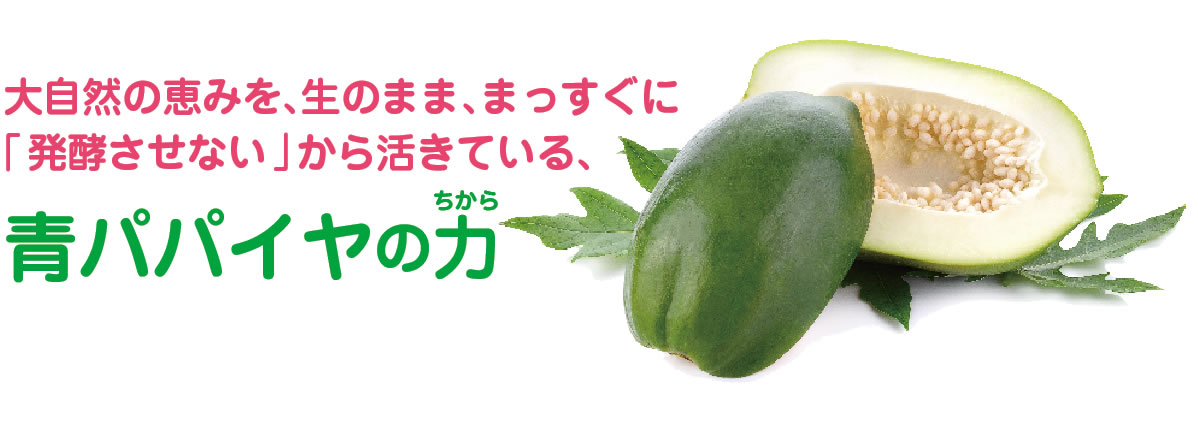 グリーンパパイヤエンザイムTOPイメージ