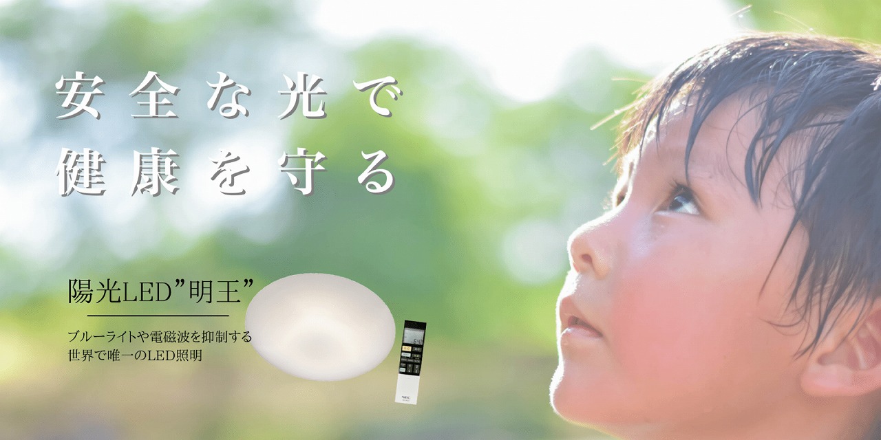 陽光LED照明「明王」1