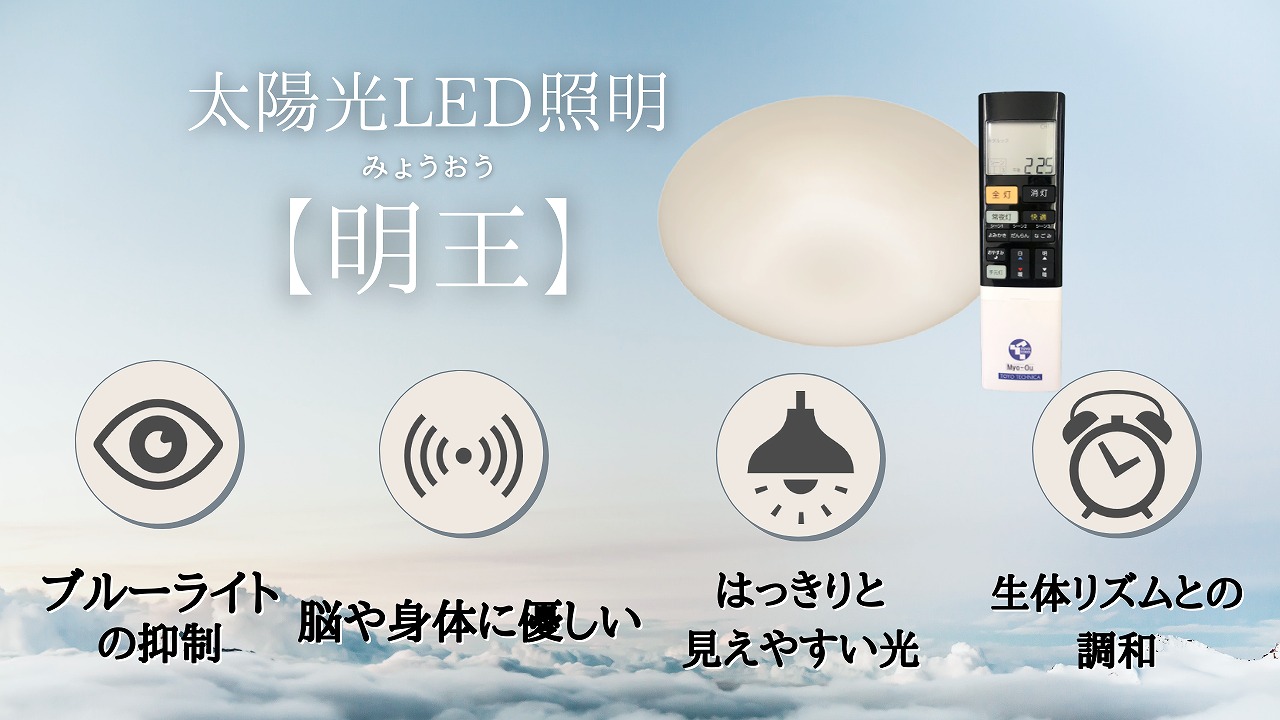 陽光LED照明「明王」12