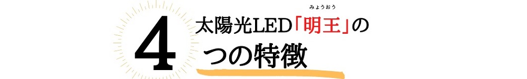 陽光LED照明「明王」13