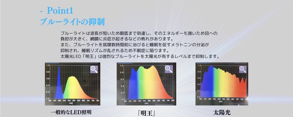 陽光LED照明「明王」14