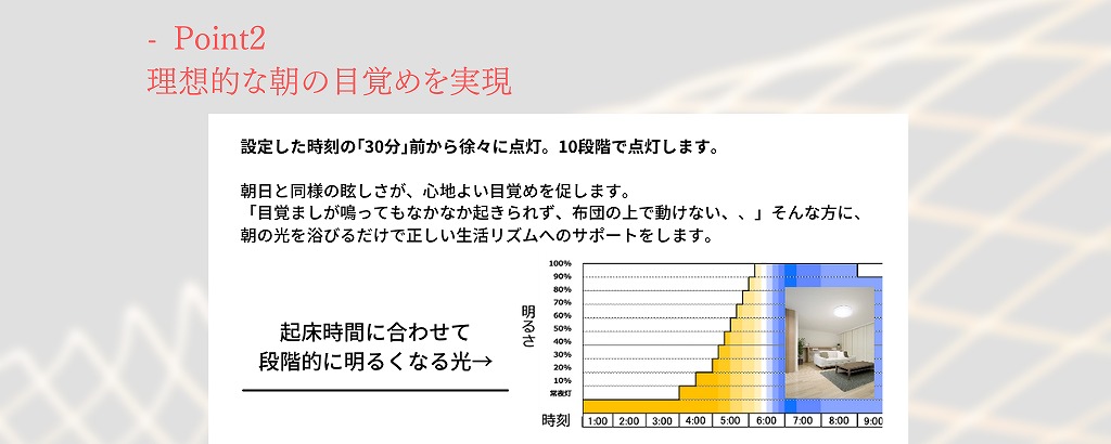陽光LED照明「明王」15