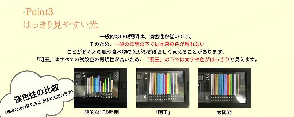 陽光LED照明「明王」16