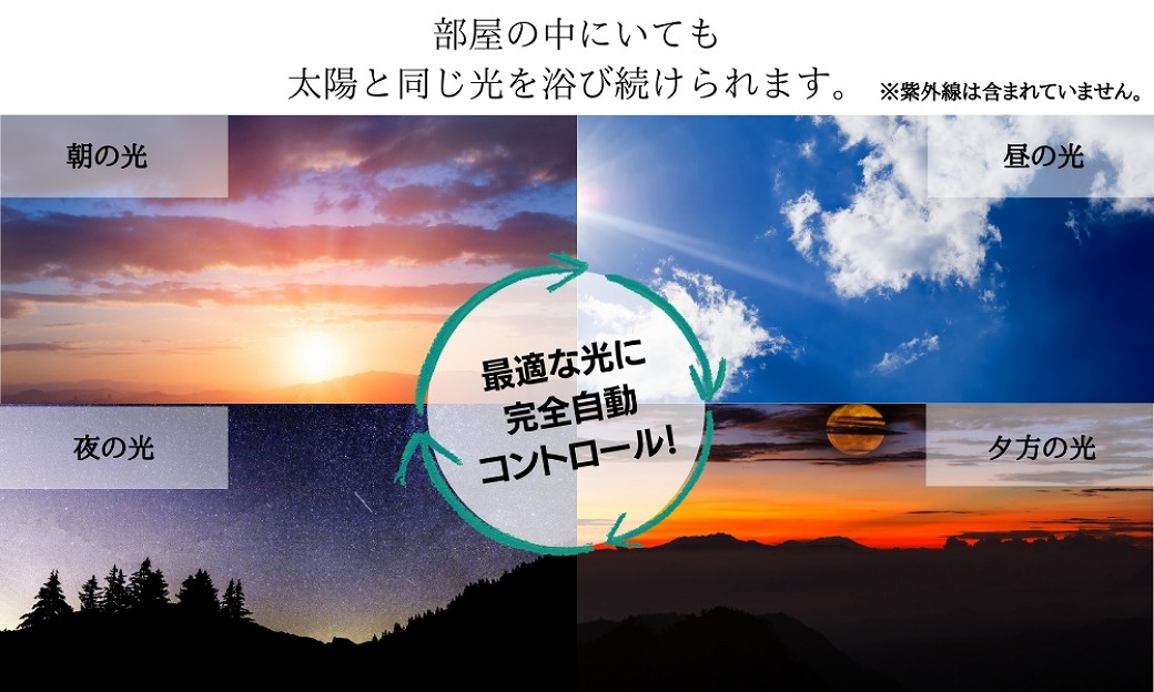 陽光LED照明「明王」20