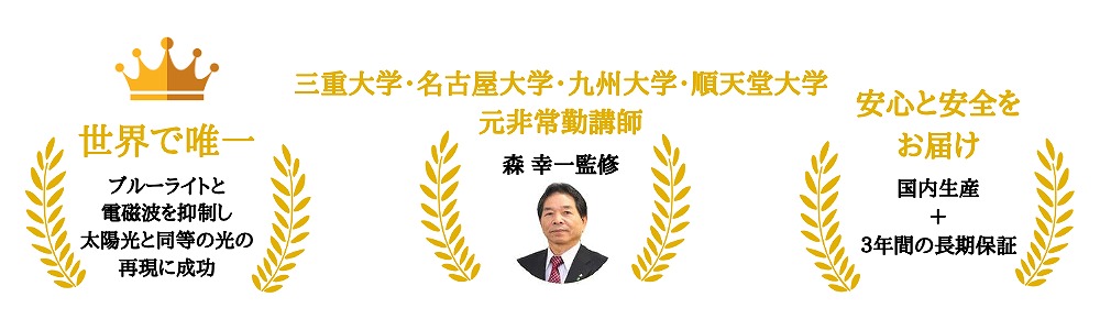 陽光LED照明「明王」3