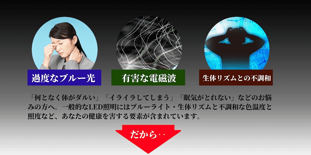 陽光LED照明「明王」9