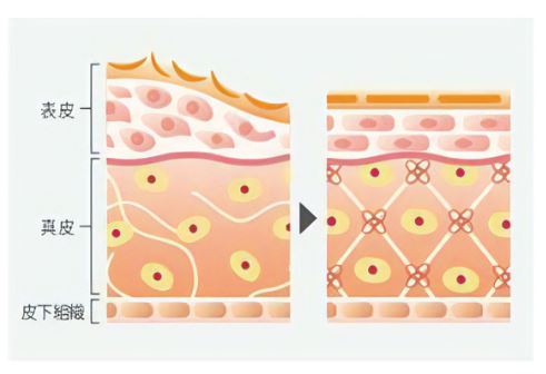 肌のコンディション