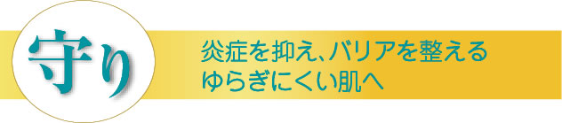 ラディール セラム守り