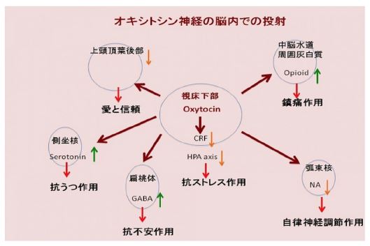 純粋意識とはどんな状態？ ２