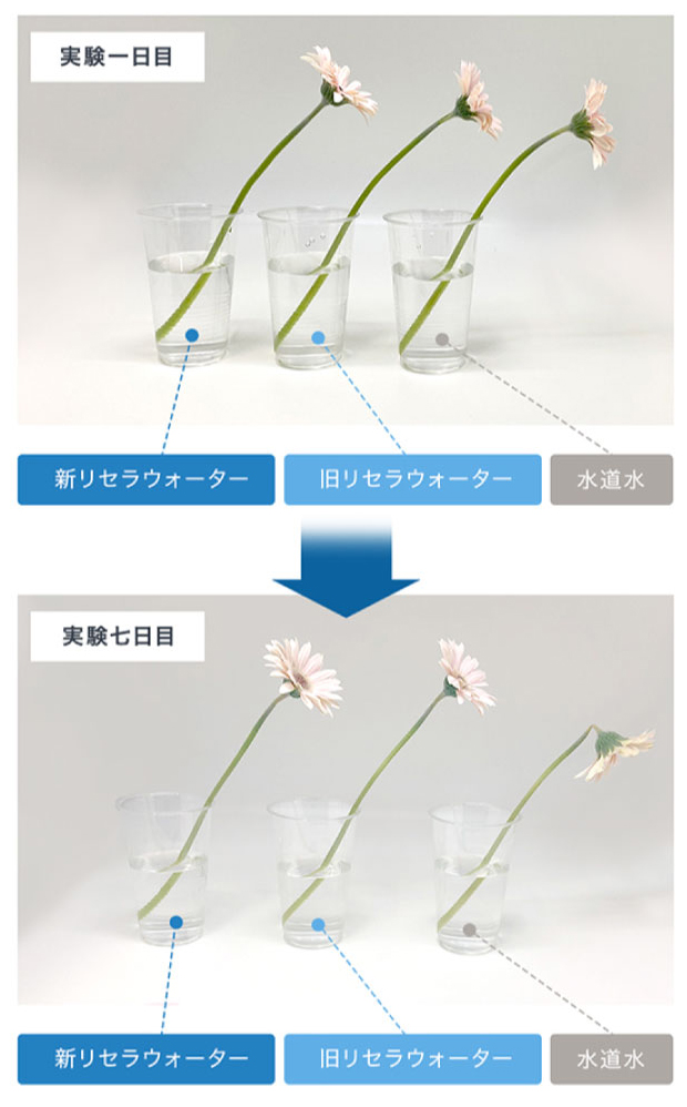 リセラウォーター効果