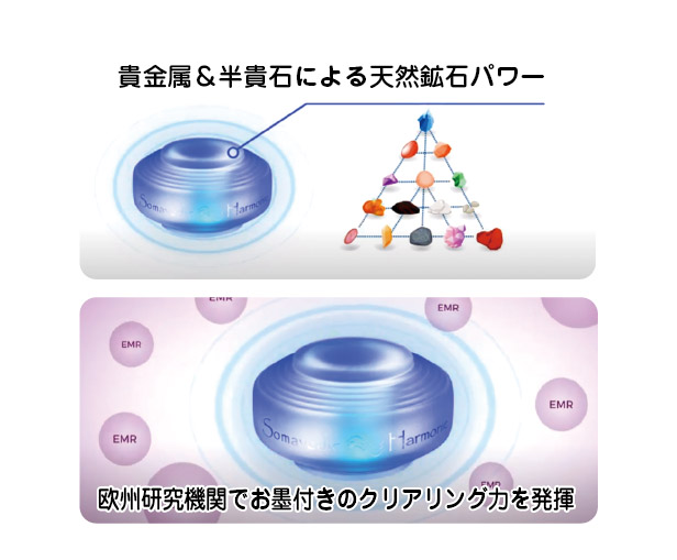 ソマヴェディック効果２