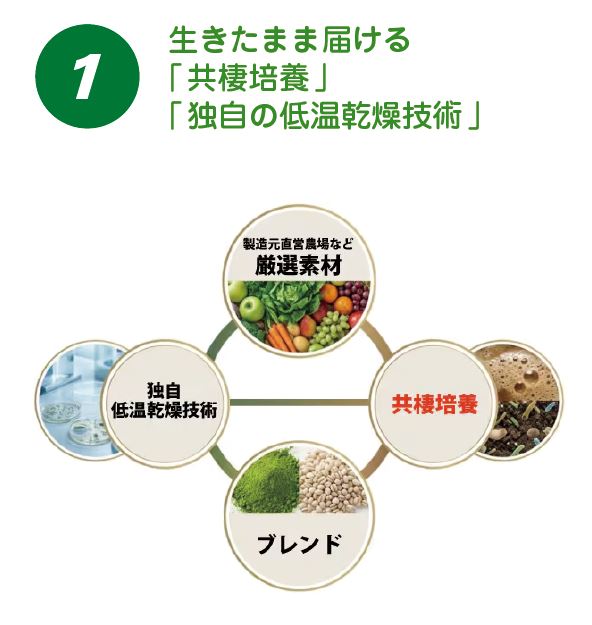 酵素乃泉、製法１