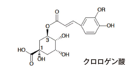 クロロゲン酸