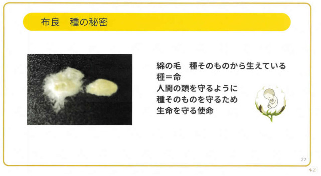 布良／種の違い