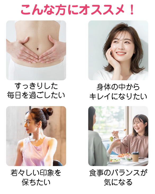 紫菊芋お勧めの方