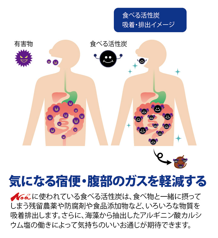 食べる活性炭Noa イメージ2