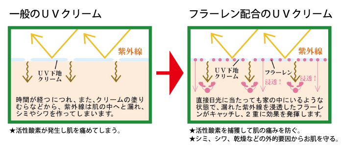 白姫UV効果
