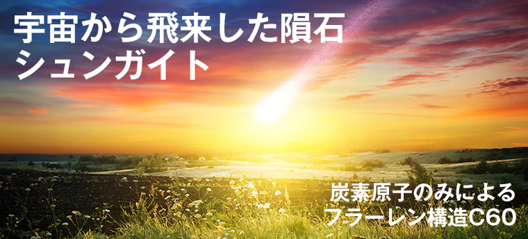 シュンガイトトップ画像