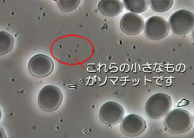 ソマチット