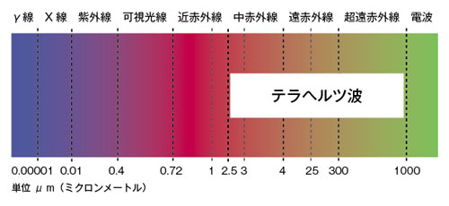 テラヘルツグラフ